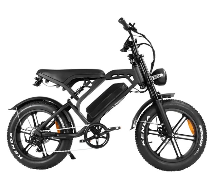 Gestolen Fiets V20 pro